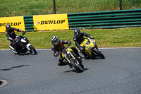 enduro-digital-images;event-digital-images;eventdigitalimages;mallory-park;mallory-park-photographs;mallory-park-trackday;mallory-park-trackday-photographs;no-limits-trackdays;peter-wileman-photography;racing-digital-images;trackday-digital-images;trackday-photos